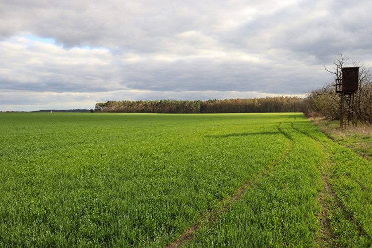Quel est le prix d’un terrain non constructible ?