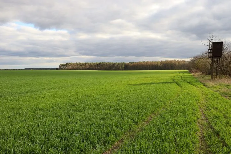 Quel est le prix d’un terrain non constructible ?