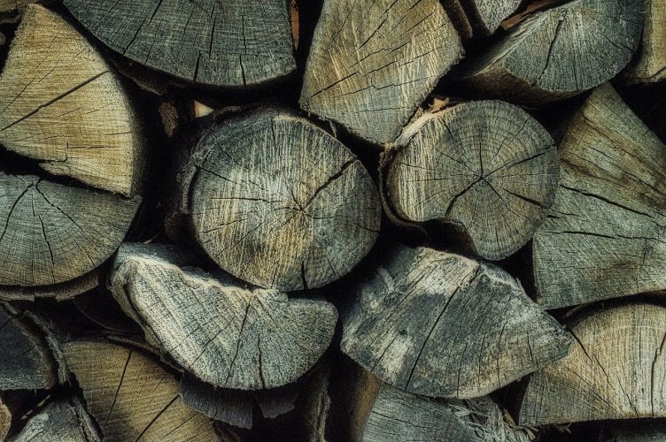 Le prix du stère de bois : un bon investissement ?
