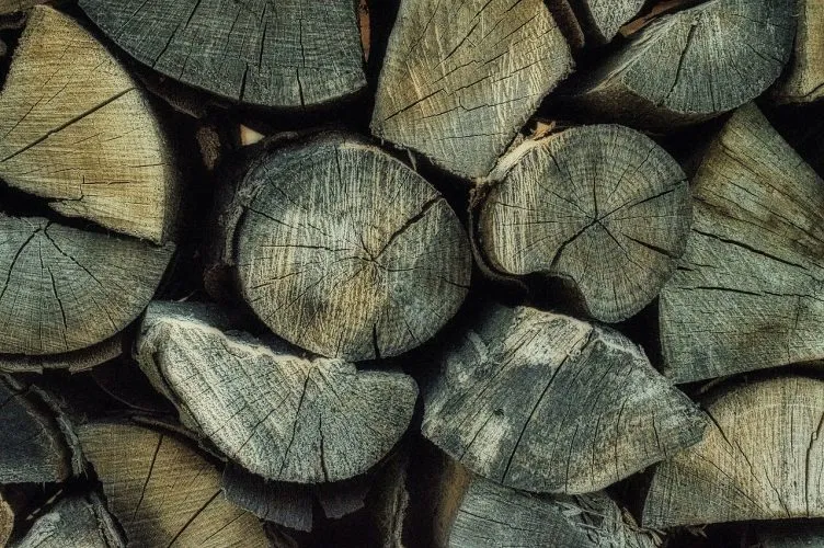 Le prix du stère de bois : un bon investissement ?
