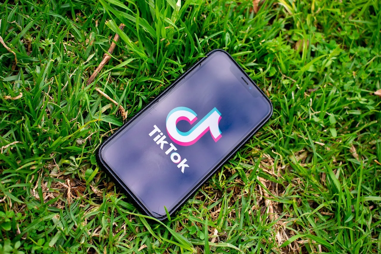 Rémunération Tik Tok: faites-vous rémunérer en publiant!