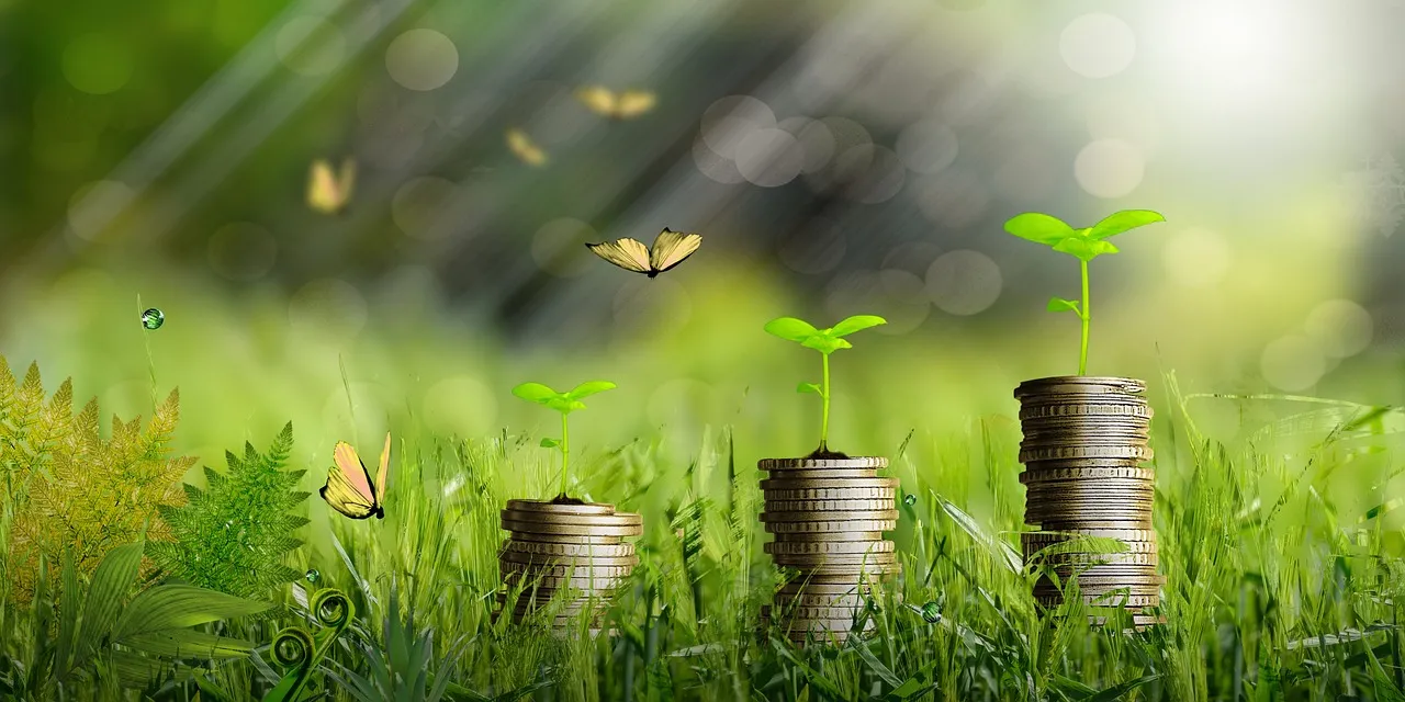 Zakat Al-Fitr : comment contribuer à illuminer l’Humanité ?