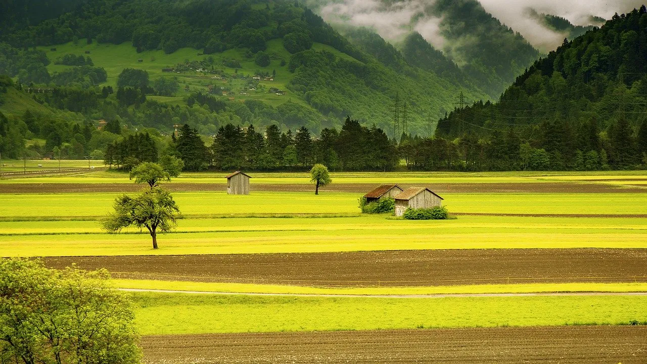 FarmTogether Review : Comment investir dans les terres agricoles