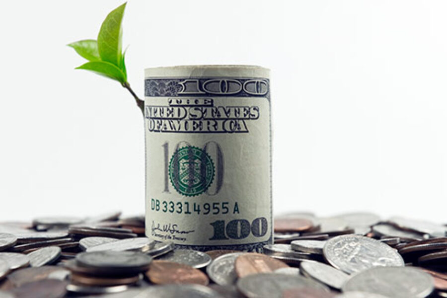 Money tree
