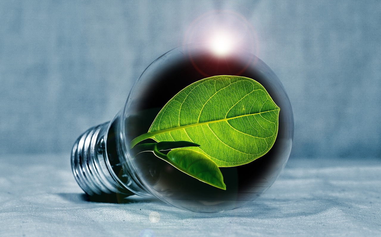 Rénovation énergétique en copropriété : rôle et financements disponibles pour les syndics