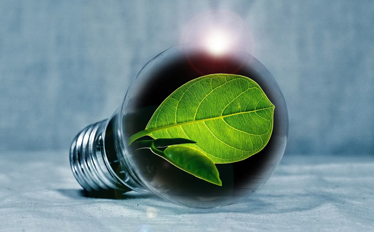 Rénovation énergétique en copropriété : rôle et financements disponibles pour les syndics