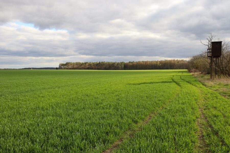 Quel_est_le_prix_d_un_terrain_non_constructible_? Quel_est_le_prix_d_un_terrain_non_constructible_?