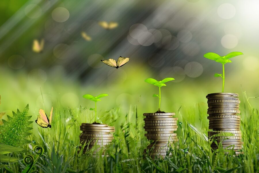 Zakat_Al_Fitr_:_comment_contribuer_à_illuminer_l’Humanité_?