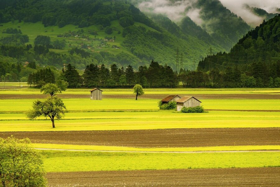 FarmTogether_Review_:_Comment_investir_dans_les_terres_agricoles