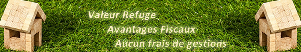 diamant d'investissement