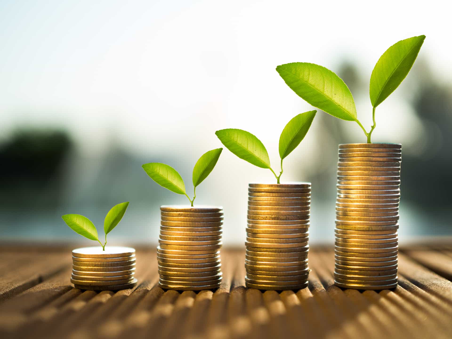 Pourquoi investir dans l’écologie est une bonne idée