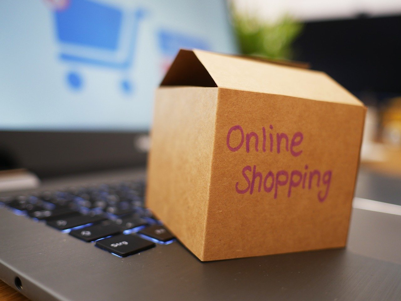 Quelles stratégies pour bien gagner sa vie sur internet grâce à une boutique en ligne