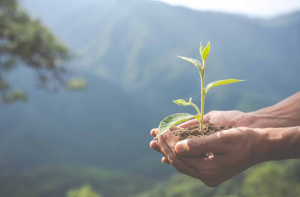 Sur quel ISR investir pour le dernier trimestre 2021 ?