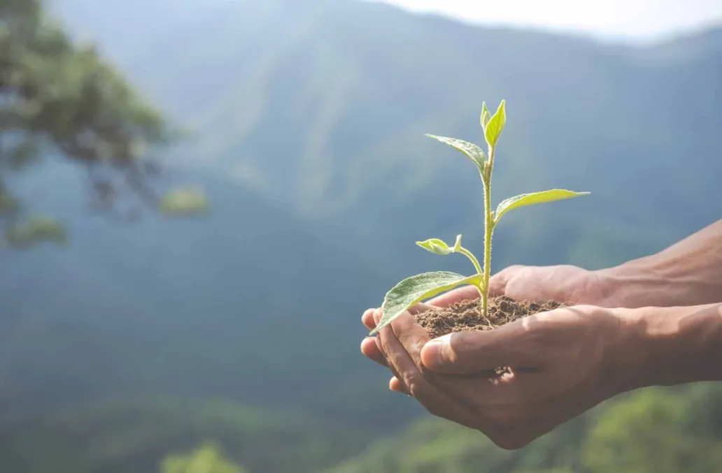 Sur quel ISR investir pour le dernier trimestre 2021 ?