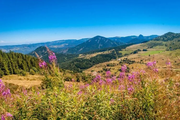 Immobilier : 5 raisons d’acheter en Auvergne-Rhône-Alpes