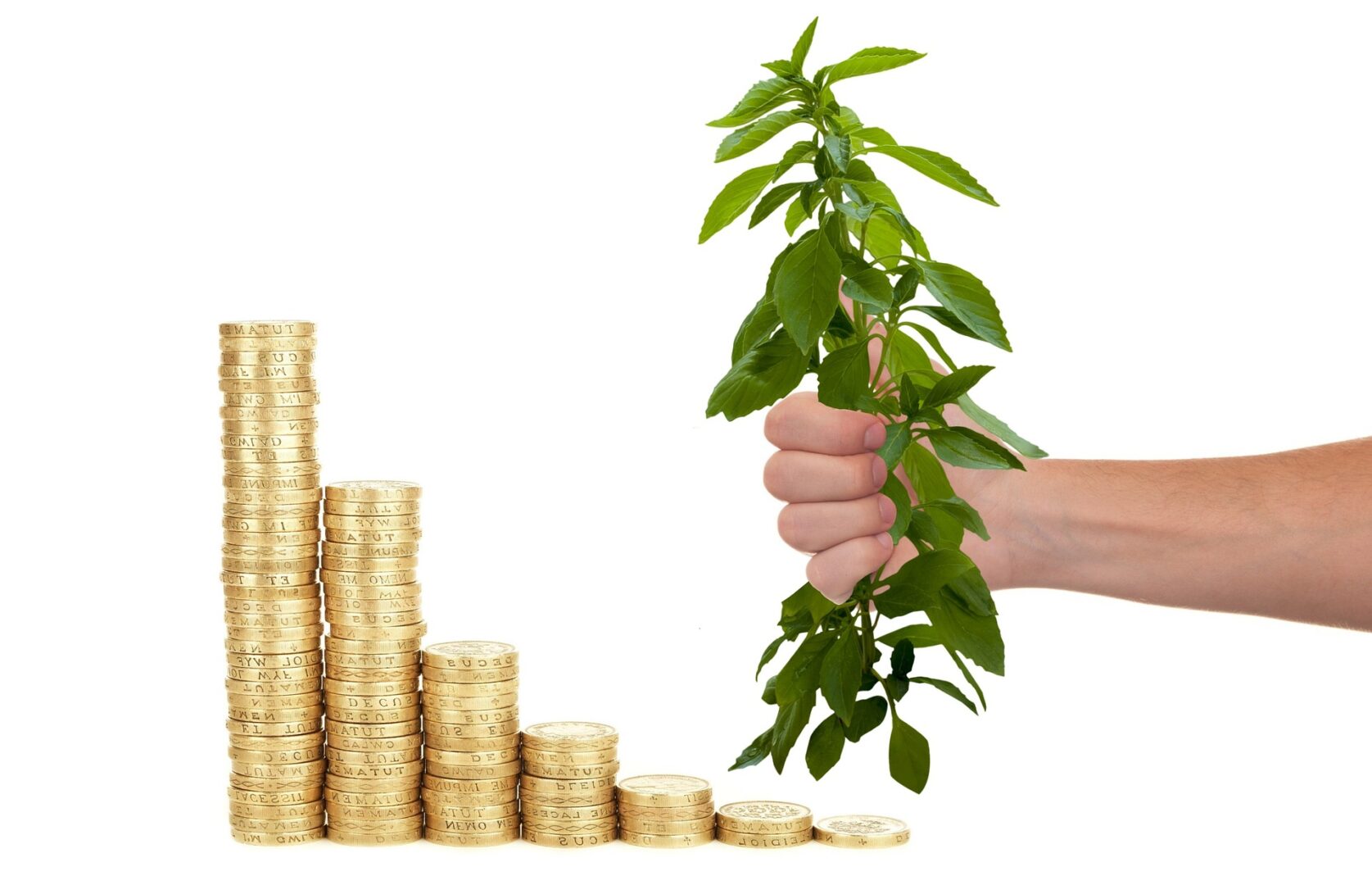 Quelle banque en ligne choisir pour ouvrir un PEA?