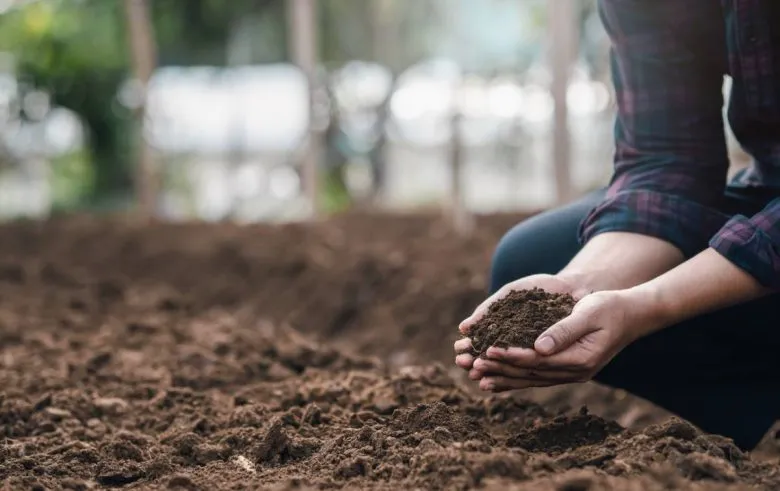Les diagnostics à réaliser lors de la vente d’un terrain