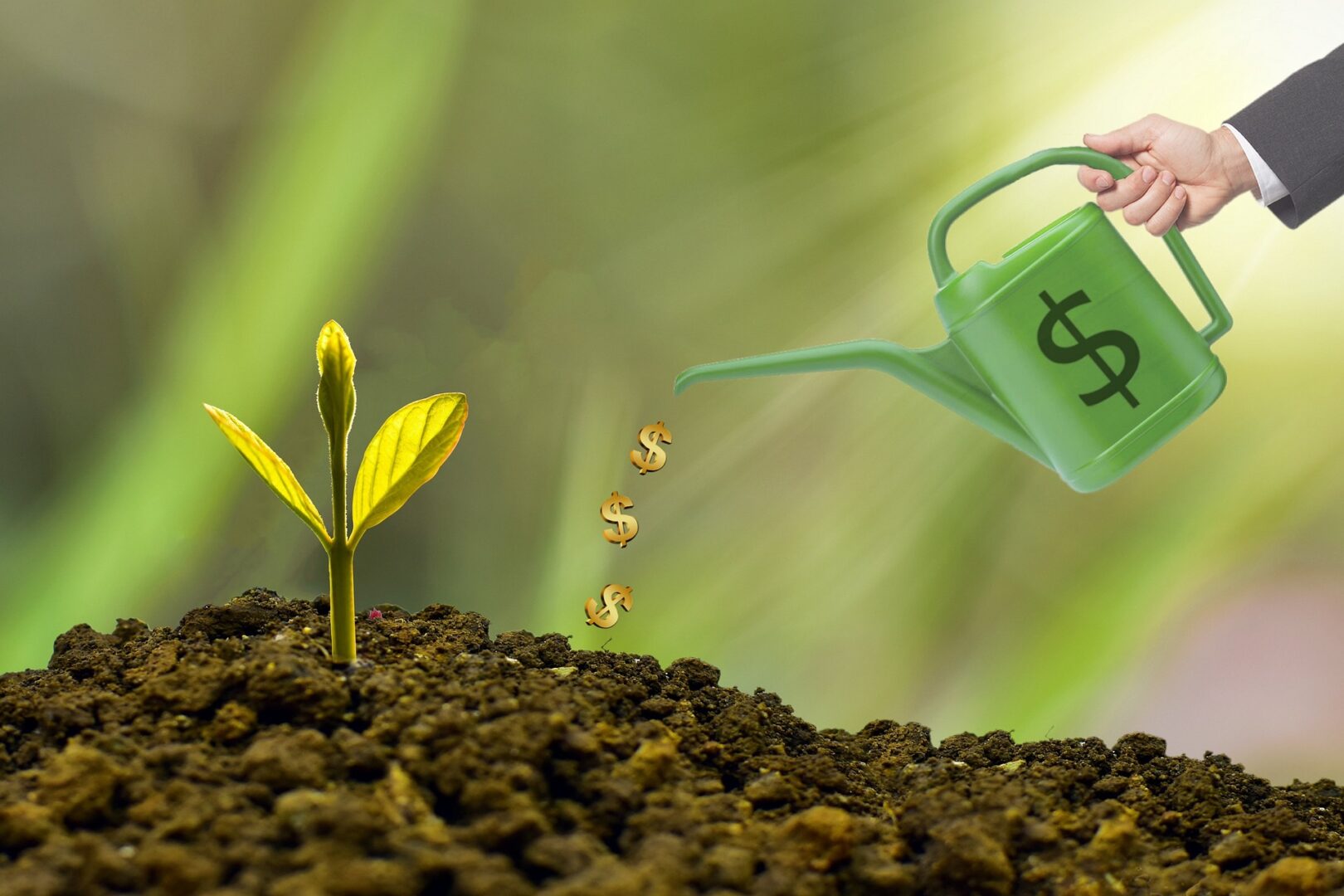 Comment apprendre à investir en immobilier ?